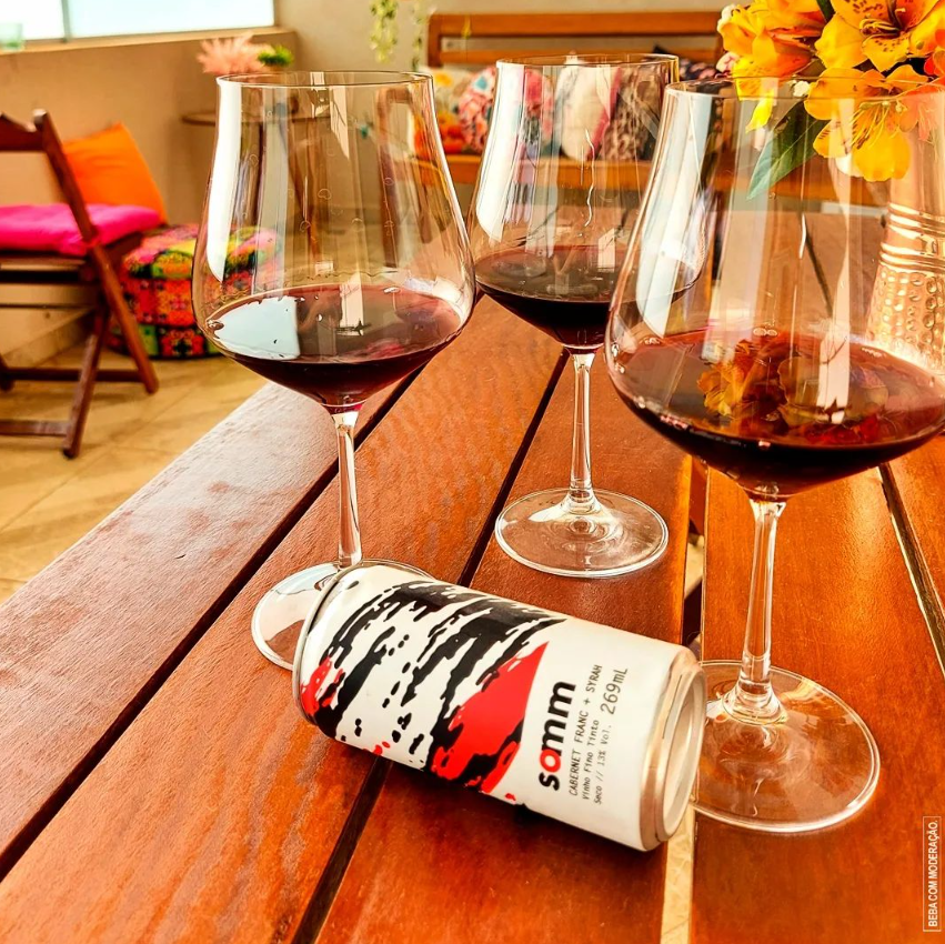 Tinto Cabernet Franc & Syrah Lata 269ml