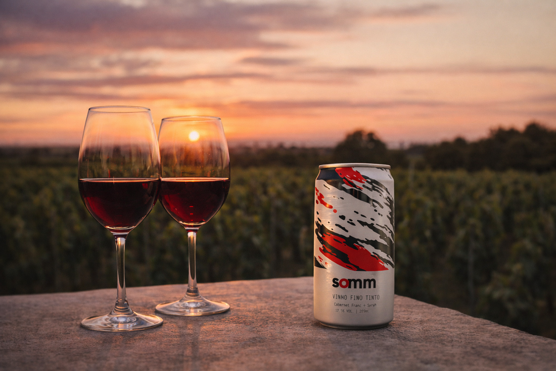 Pode beber vinho todo dia? Veja o que dizem estudos e especialistas