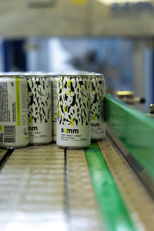 Do supermercado ao clique: como o e-commerce está mudando o jeito de comprar vinho