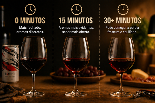 Por que o vinho muda de gosto ao longo da taça? Entenda o que acontece com o tempo